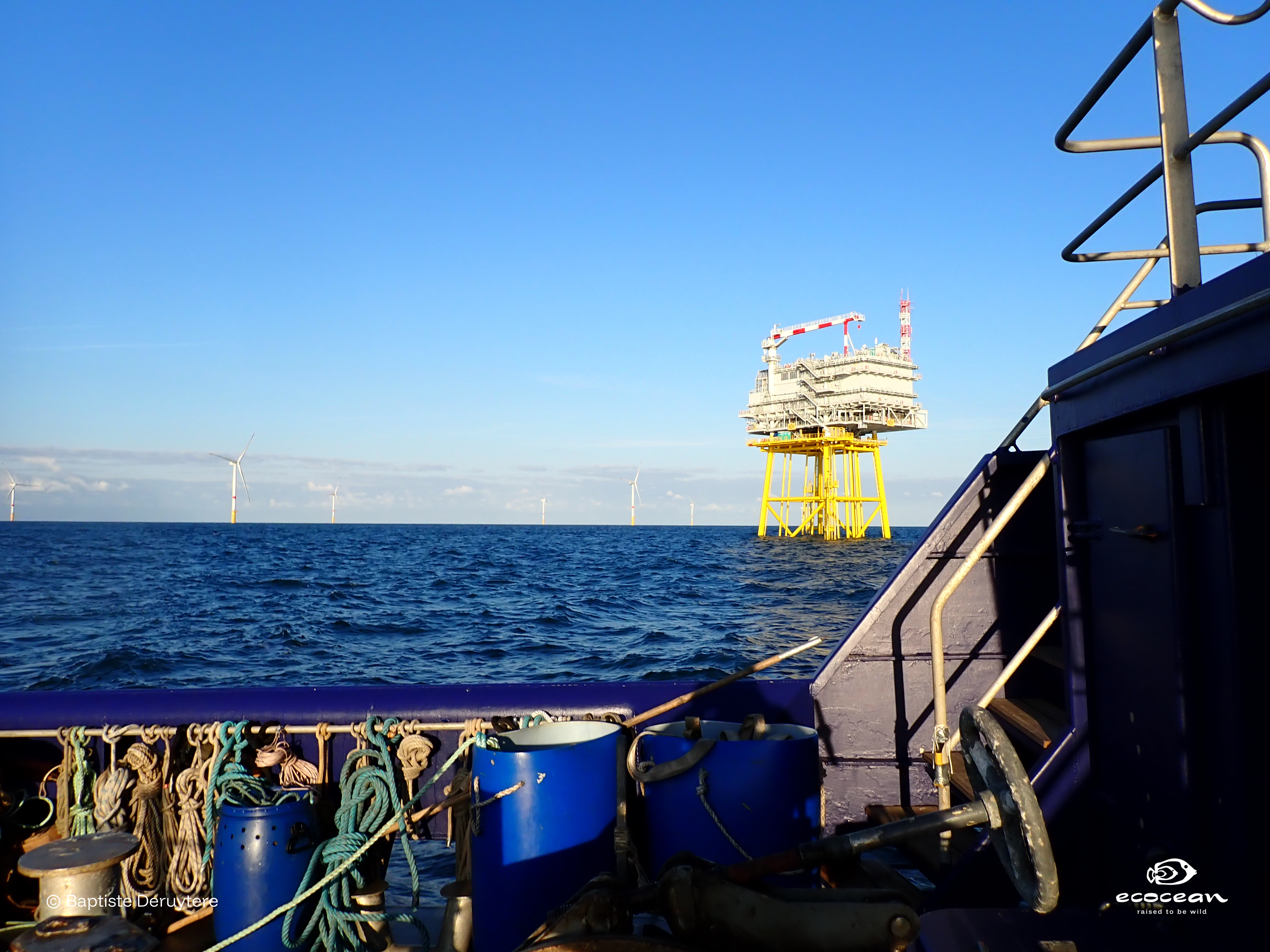 ORLAC EMR – ECOCEAN © Baptiste Deruytere (10)